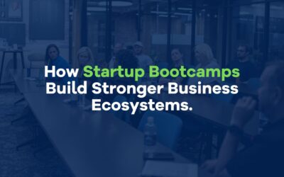 How Startup Bootcamps Build Stronger Business Ecosystems