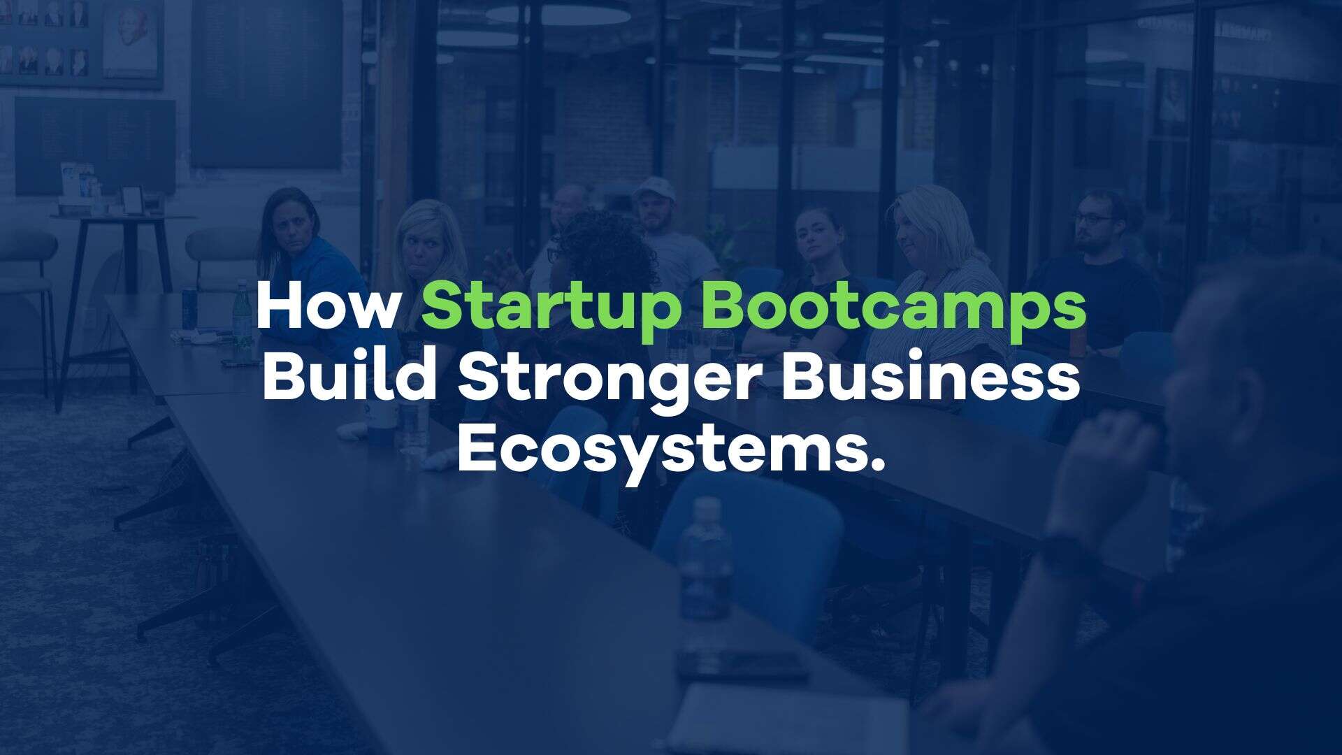 How Startup Bootcamps Build Stronger Business Ecosystems